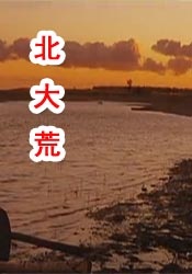 黄a在线